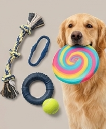 Köpek Oyuncağı