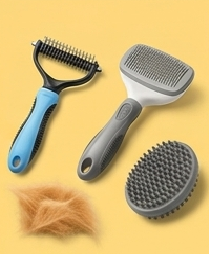 Köpek Tarağı