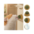 Kedi Nanesi Yapışkanlı